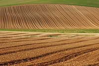 Agriculture field outdoors nature soil.