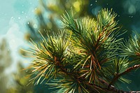 A pine plant tree fir. AI generated Image by rawpixel.