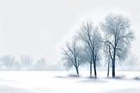 Snowy winter scene while heavy snow storm landscape outdoors nature.