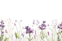 Minimal purple flowers backgrounds lavender outdoors.