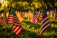 Celebration of veteran day in America celebration flag independence.