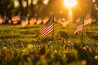 Celebration of veteran day in America sunlight outdoors cemetery.