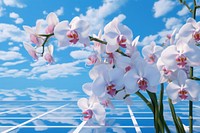 Orchid tile background outdoors blossom flower. AI generated Image by rawpixel.
