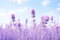  Lavender sky backgrounds outdoors. AI generated Image by rawpixel.