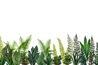Leave plants backgrounds vegetation leaf.