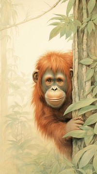Wallpaper cute Orangutan in forest orangutan wildlife monkey.