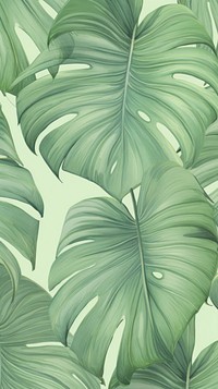 Wallpaper monstera and palm leaves backgrounds nature jungle.