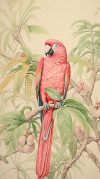 Wallpaper parrot drawing animal sketch.