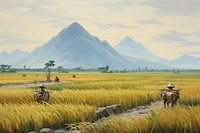 PNG Vietnam rice field while harvesting landscape grassland livestock. 