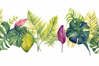 Various aesthetic color in tropical leaves nature plant leaf.