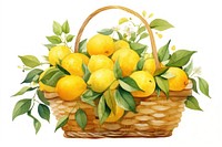 Yellow fruit basket lemon plant food.