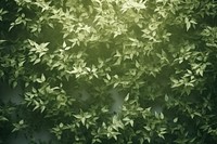  A green wall with green leaves and shadows nature outdoors forest. AI generated Image by rawpixel.