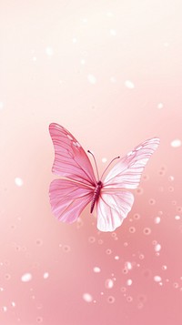 Butterfly dreamy wallpaper animal insect petal.