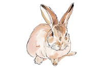 Rabbit drawing animal rodent. AI generated Image by rawpixel.