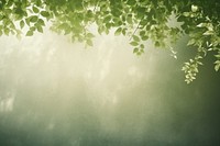  A green wall with green leaves and shadows nature sunlight outdoors. AI generated Image by rawpixel.