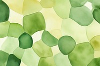  Green backgrounds abstract plant. AI generated Image by rawpixel.