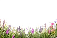 Blossom grass landscape lavender.