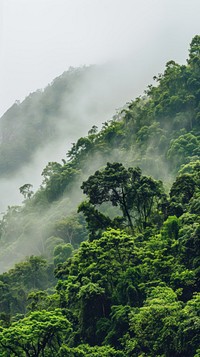  Nature vegetation mountain outdoors. AI generated Image by rawpixel.