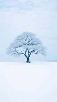  Outdoors nature plant tree. AI generated Image by rawpixel.