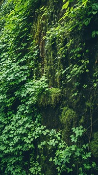  Nature forest green vegetation. AI generated Image by rawpixel.