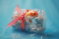 Packed fishe goldfish plastic animal.