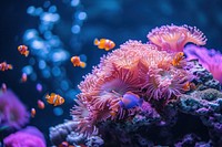 Real amazing coral with a group of small fishs underwater aquarium outdoors.