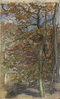 Bomen in een heuvellandschap (1881 - 1927) by Johan Antonie de Jonge