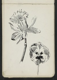 Narcis en een viooltje (1883 - 1922) by Johanna van de Kamer