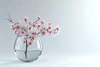 Cherry blossom transparent flower plant.