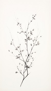 Tree branch drawing flower sketch.