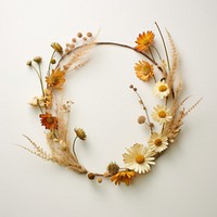 Real Pressed daisy flower wreath plant.