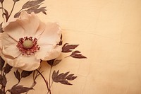 Real Pressed peony border flower pattern petal.
