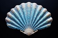 Blue sea shell clam invertebrate seashell.