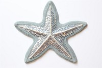 Silver star starfish white background invertebrate.