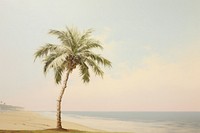 Palm tree with beach landscape outdoors nature.