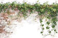 Brick wall vine architecture backgrounds.