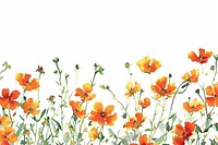 Orange flowers backgrounds pattern plant.