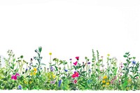 Meadow backgrounds grassland outdoors.