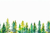 Pine forest backgrounds outdoors nature.