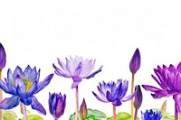 Purple water lily backgrounds outdoors flower.