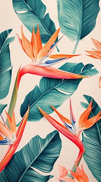 Wallpaper on bird of paradise backgrounds tropics pattern.