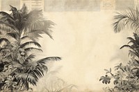 Palm leaves border backgrounds outdoors drawing.