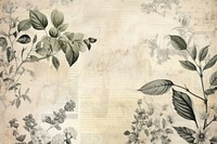 Holly leave border backgrounds pattern drawing.