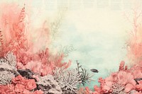 Coral underwater border backgrounds outdoors nature.