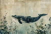 Whale underwater border animal mammal art.