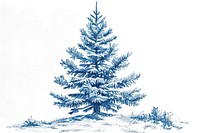Antique of christmas tree drawing sketch plant.