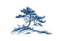 Antique of pine tree drawing sketch plant.