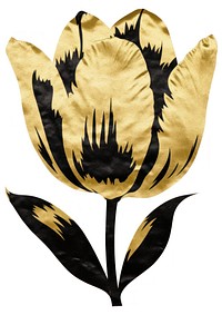 Tulip shape ripped paper flower plant white background.