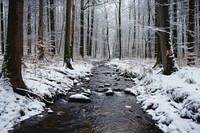 Winter Stream In the Forest scenery photo forest stream outdoors.