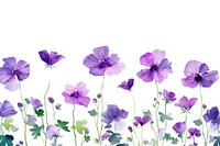 Purple flower backgrounds blossom nature.